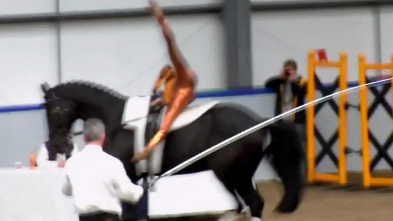 Horse Vaulting